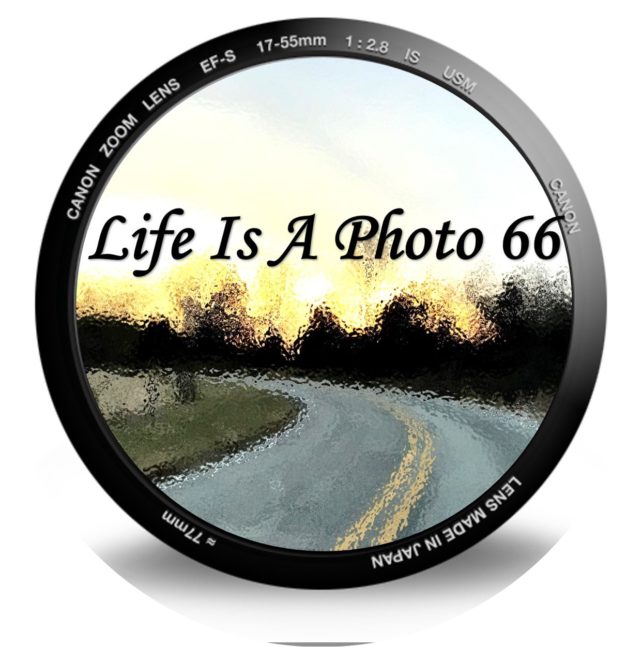 lifeisaphoto66.com